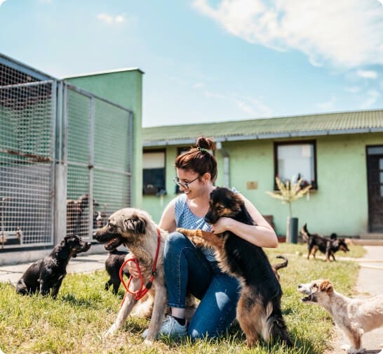 Women with dogs at a pet shelter